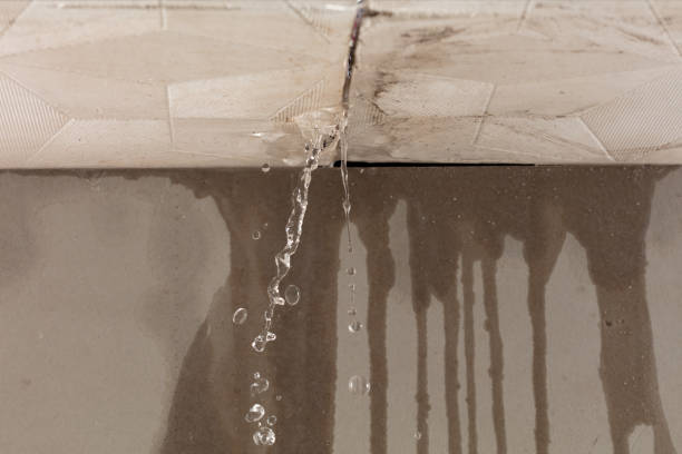 Professional Burst Pipe Cleanup technician working in Wilder, KY